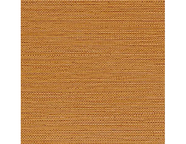 Casamance Golfe du Bengale Zostera 75972038