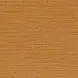 Casamance Golfe du Bengale Zostera 75972038
