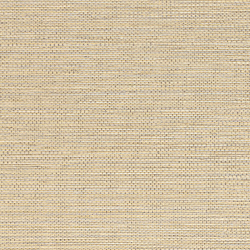 Casamance Golfe du Bengale Zostera A75971630
