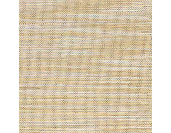 Casamance Golfe du Bengale Zostera A75971630