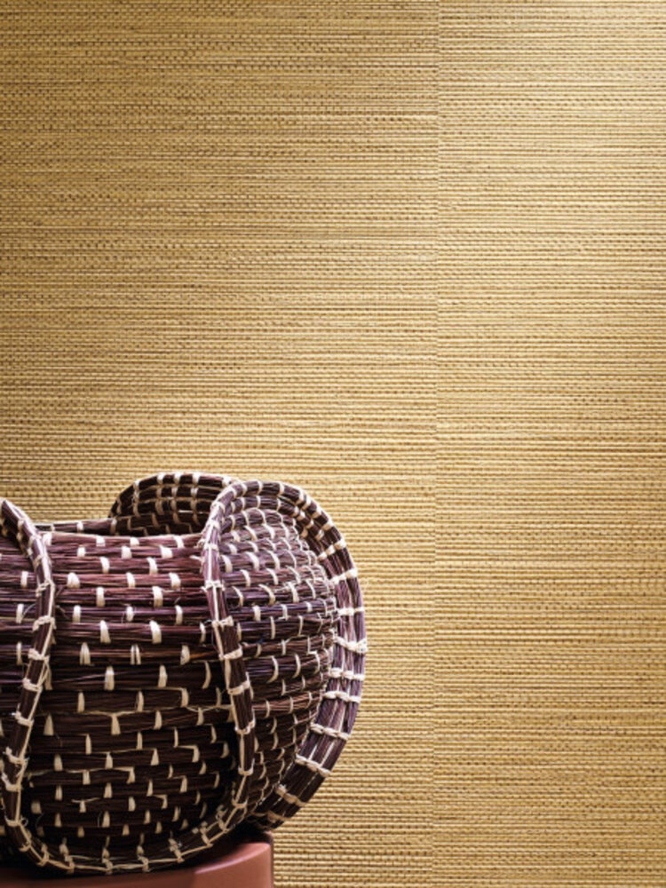 Casamance Golfe du Bengale Zostera A75971630