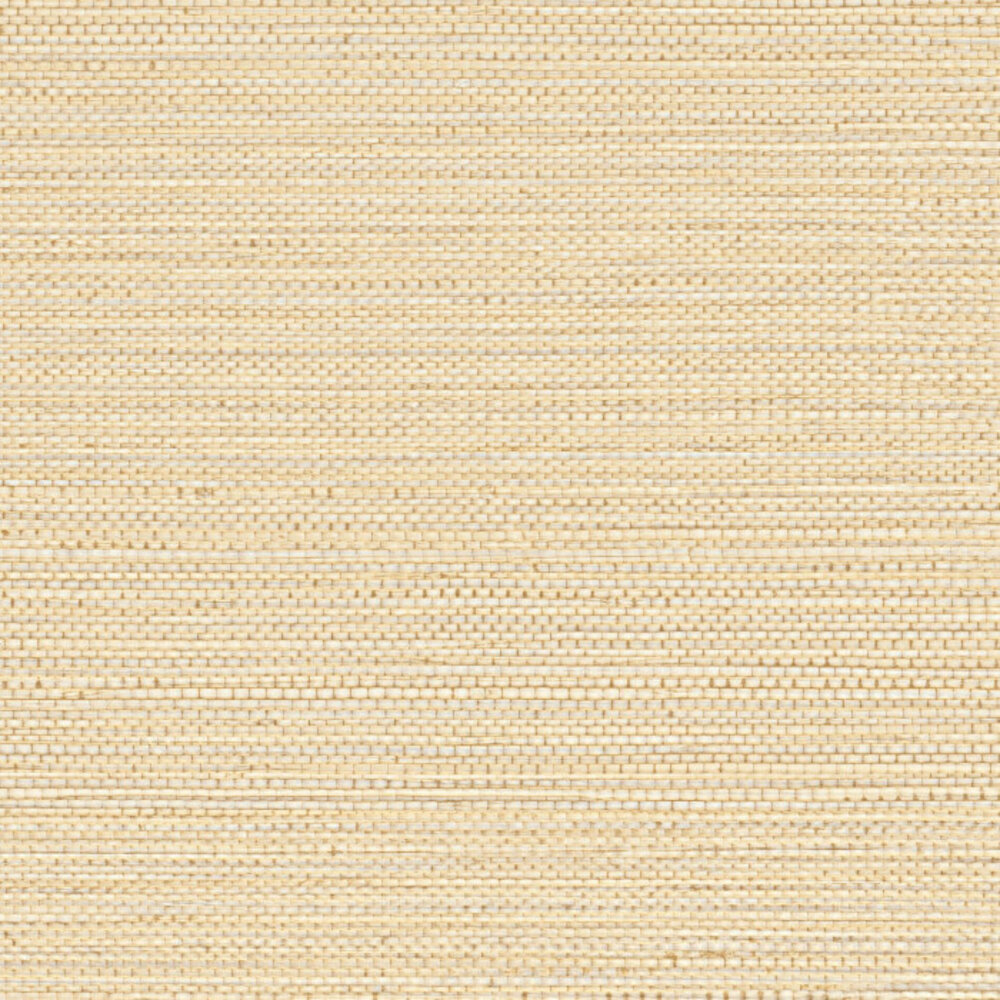 Casamance Golfe du Bengale Zostera A75971834
