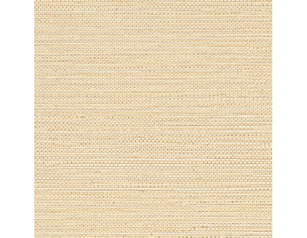 Casamance Golfe du Bengale Zostera A75971834