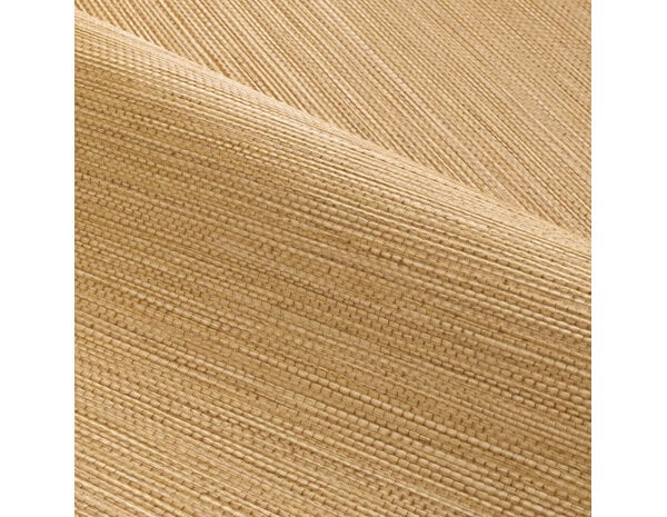 Casamance Golfe du Bengale Zostera A75971834