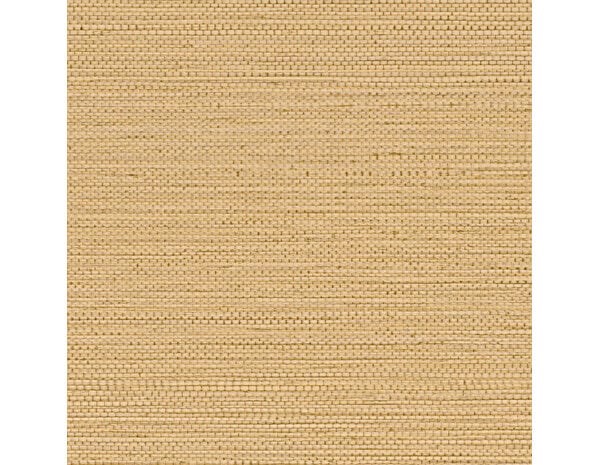 Casamance Golfe du Bengale Zostera A75971936