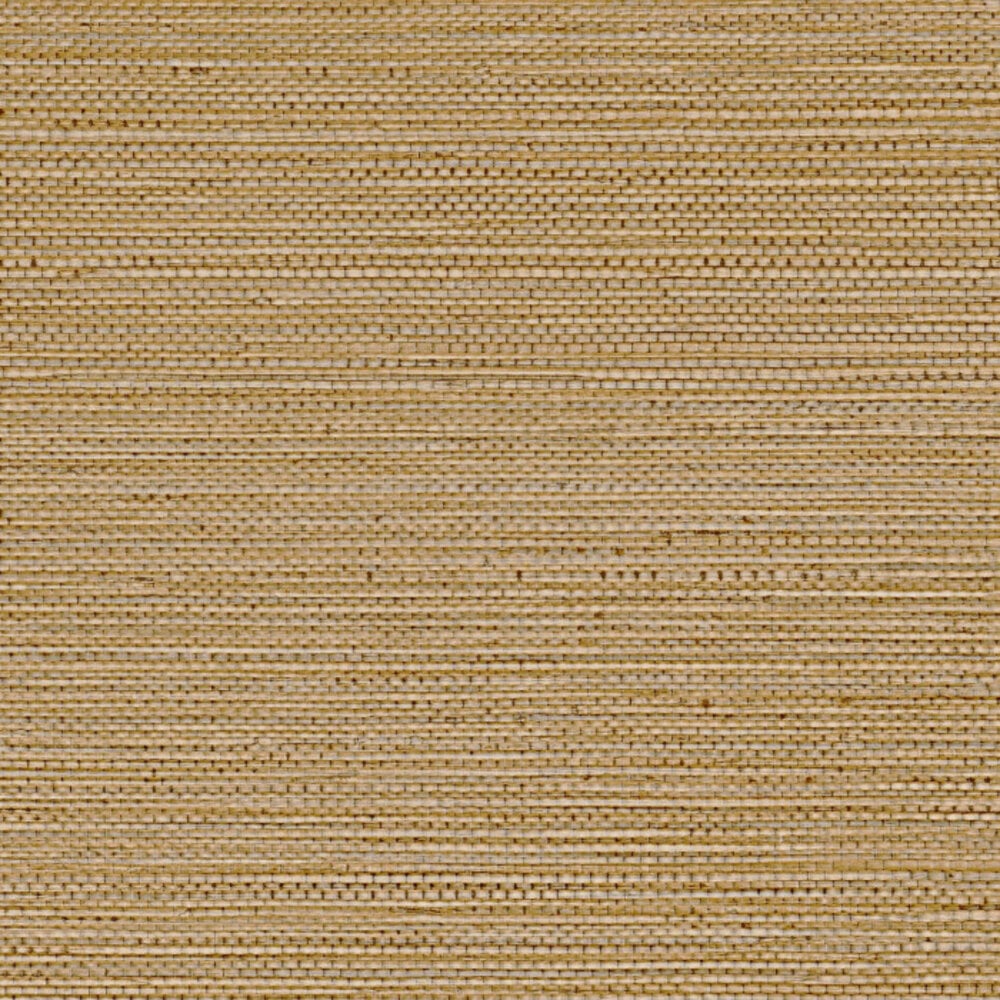 Casamance Golfe du Bengale Zostera A75972140