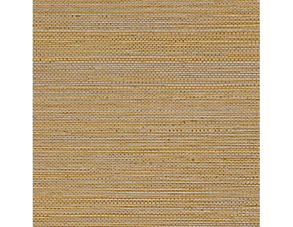 Casamance Golfe du Bengale Zostera A75972140