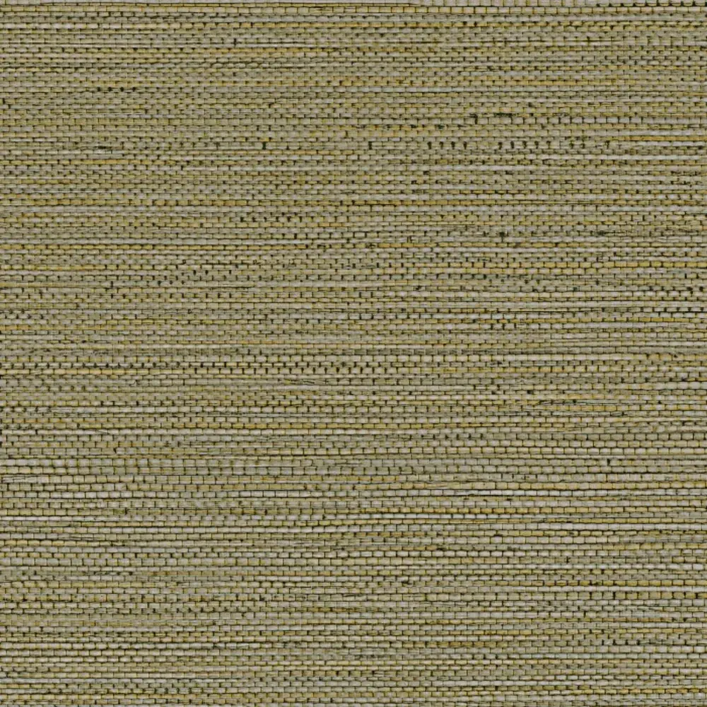 Casamance Golfe du Bengale Zostera A75972242