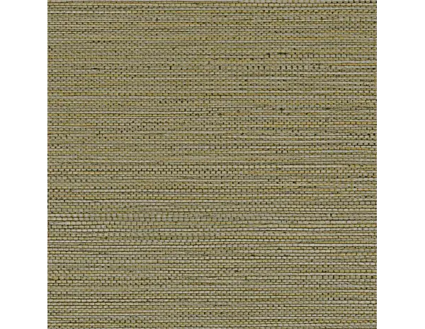 Casamance Golfe du Bengale Zostera A75972242