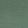 Golfe du Bengale Zostera A75972344