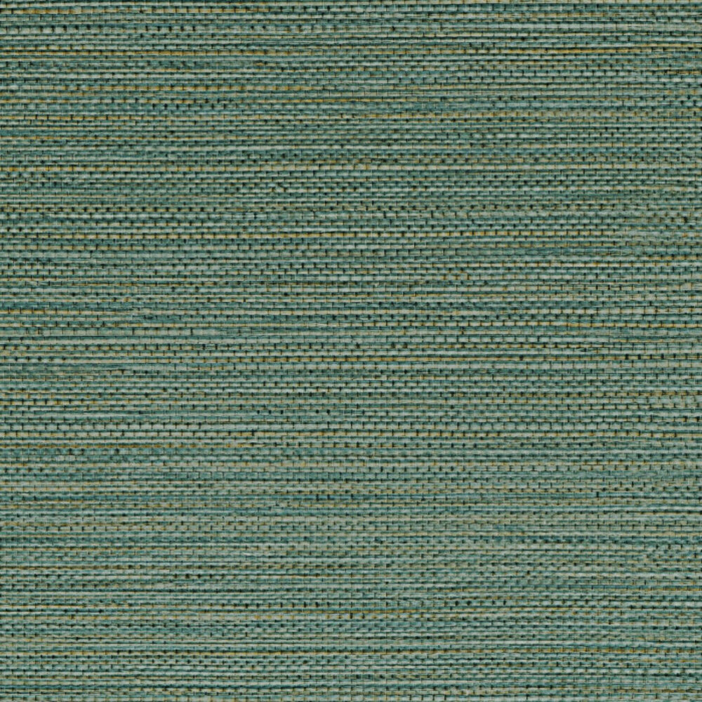 Casamance Golfe du Bengale Zostera A75972344