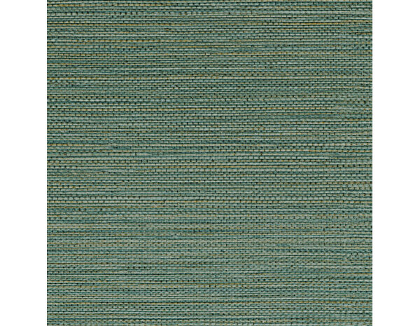 Casamance Golfe du Bengale Zostera A75972344