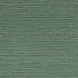 Casamance Golfe du Bengale Zostera A75972344