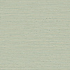 Golfe du Bengale Zostera A75972446