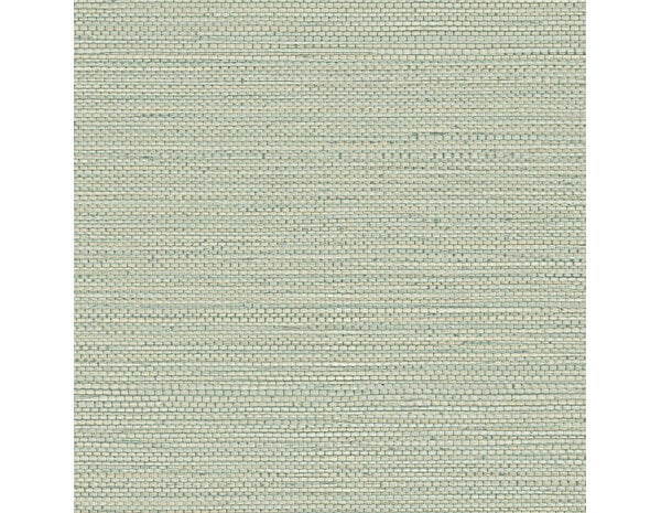 Casamance Golfe du Bengale Zostera A75972446