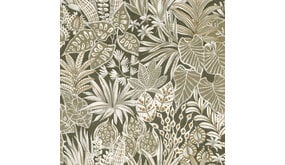 Casamance Golfe du Bengale Madhuca 75950814