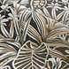 Casamance Golfe du Bengale Madhuca 75950916