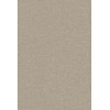 Long Island Cliff 26224