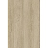 Long Island Oak 26210