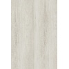 Long Island Oak 26212