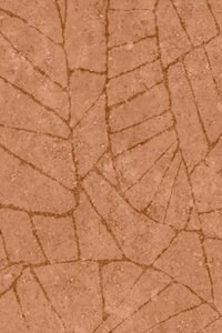 Fragment Fragment