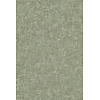 Ginkgo Bark 21962 Ginkgo Bark 21962