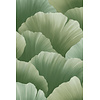 Ginkgo 21902