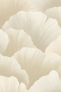 Ginkgo Ginkgo