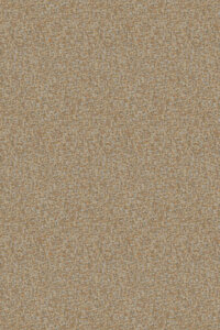 Ambre