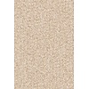 Merino Montagna 63523