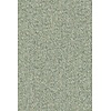 Merino Montagna 63525