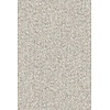 Merino Montagna 63526