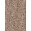 Merino Montagna 63530