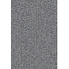 Merino Montagna 63531