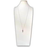 Ketting Zeepaardje zilver Ketting Zeepaardje zilver
