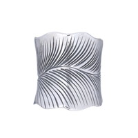 Zilveren Boho ring Feather Zilveren Boho ring Feather