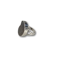 Ring met Ammoniet fossiel Ring met Ammoniet fossiel