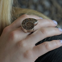 Zilveren ring met Ammoniet fossiel Zilveren ring met Ammoniet fossiel