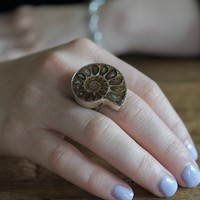 Ring met Ammoniet fossiel Ring met Ammoniet fossiel