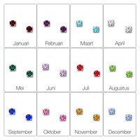 Geboortesteen oorbellen November Geboortesteen oorbellen November