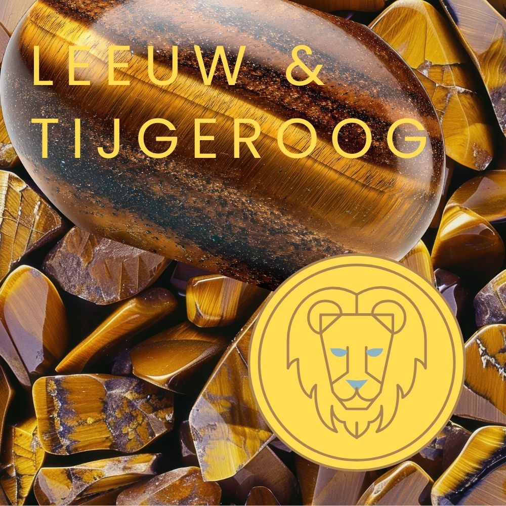 Leeuw sterrenbeeld en tijgeroog edelsteen
