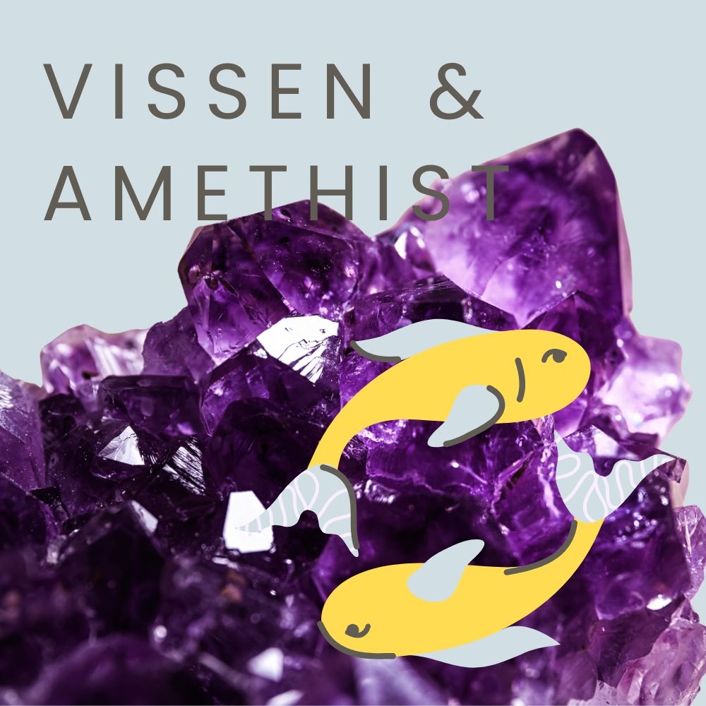 sterrenbeeld vissen en amethist edelsteen