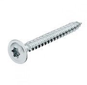 Dynaplus - Bakre väggskruvar - Torx 15 - 4,0 x 40 mm - Förzinkad (200 st)