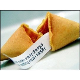 Gelukskoekjes (Fortune cookies) 10 stuks