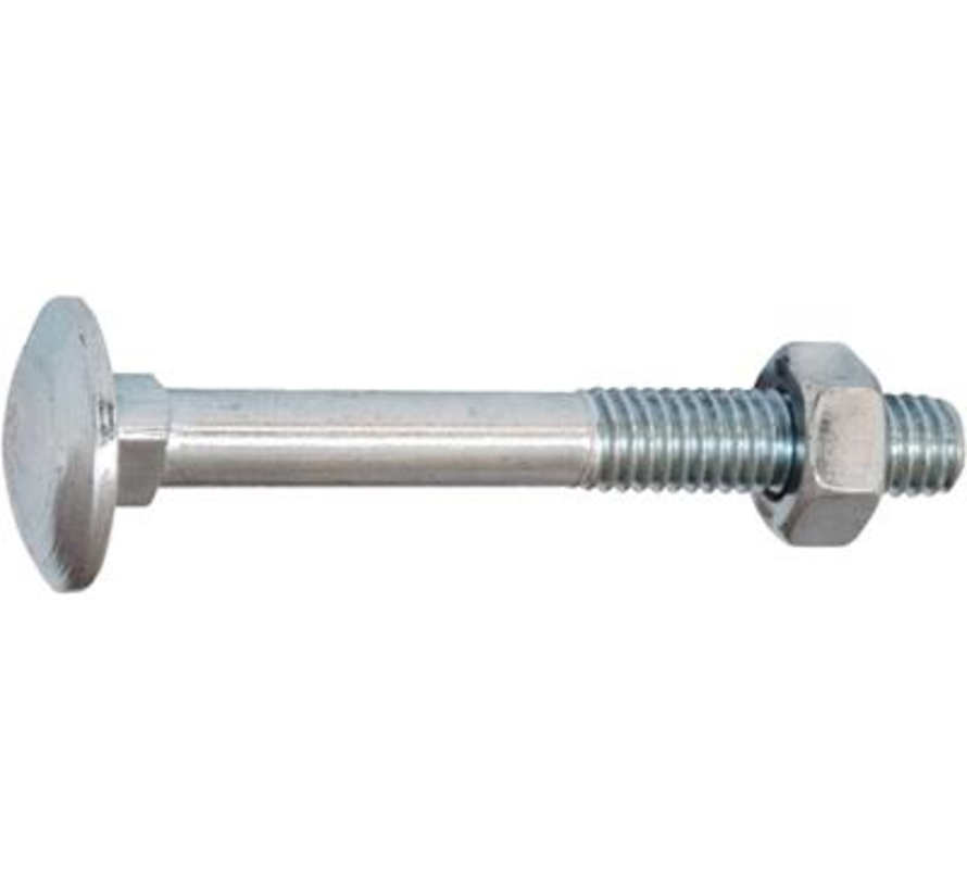 Śruby zabezpieczające - M6 x 120 mm - DIN603/555 - ocynkowane (100 sztuk)