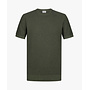 Profuomo T-Shirt Crew Neck Green