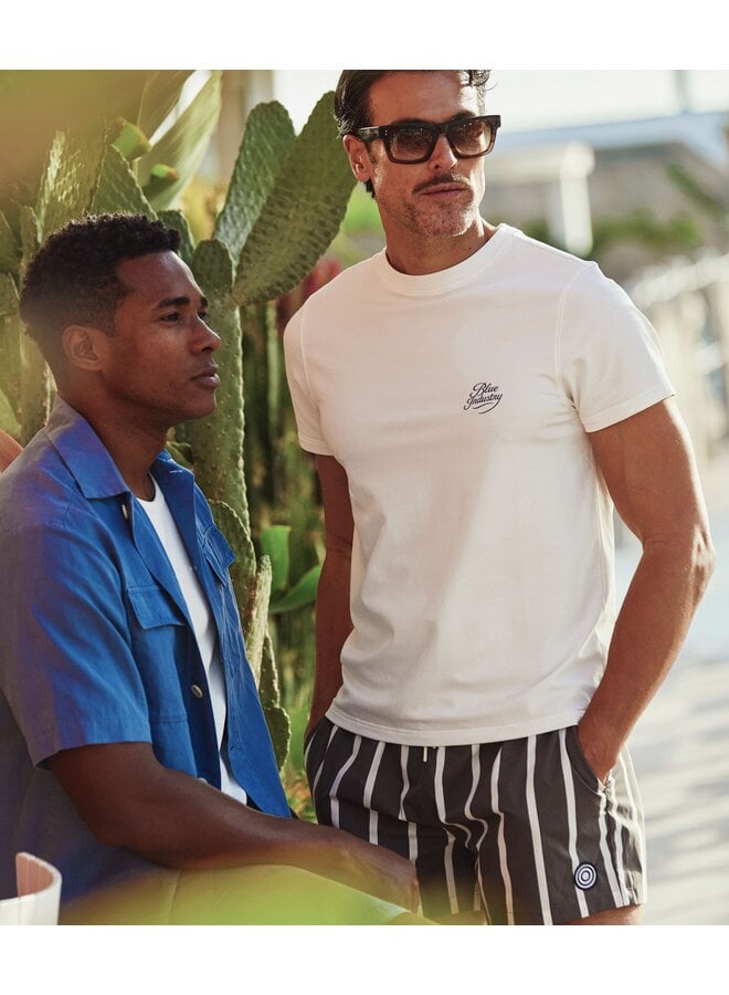 Blue Industry Swimshort Stripe Brown