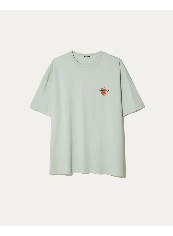 Denham T-Shirt Kansai Graphic LWJ Mercury Green