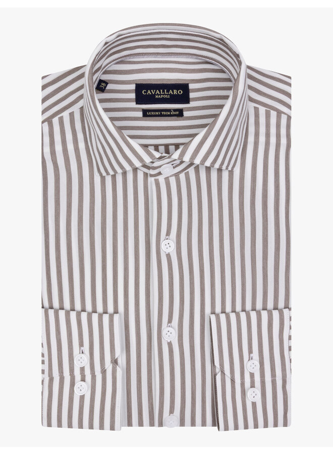 Cavallaro Shirt Compacto Stripe Dark Brown/White