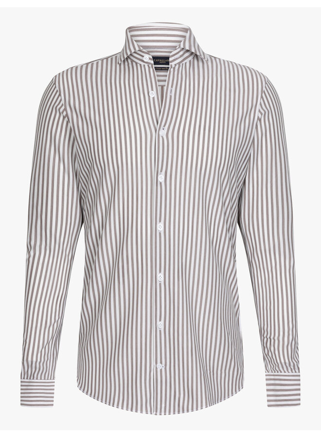 Cavallaro Shirt Compacto Stripe Dark Brown/White